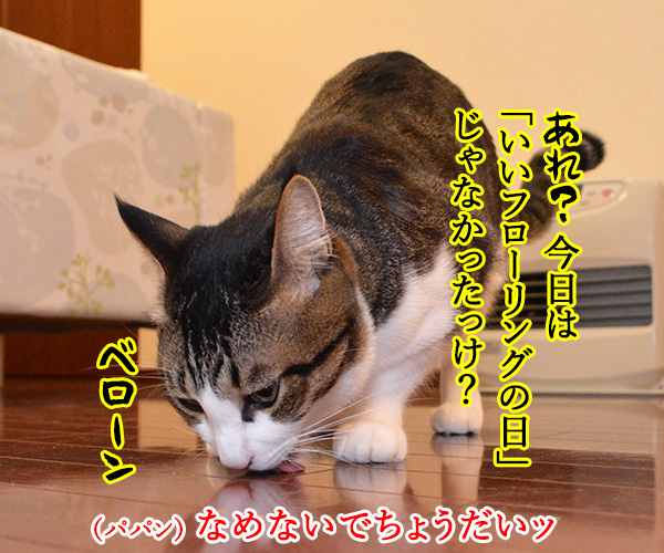 今日は「いい風呂の日」なんだってッ　猫の写真で４コマ漫画　２コマ目ッ