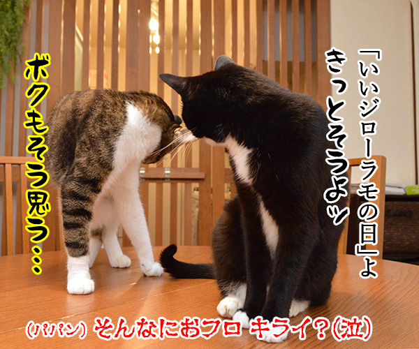 今日は「いい風呂の日」なんだってッ　猫の写真で４コマ漫画　４コマ目ッ