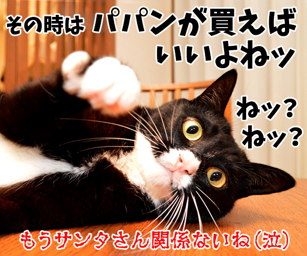 サンタさんは来てくれるかな？　猫の写真で４コマ漫画　４コマ目ッ