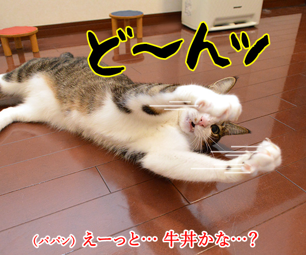 ジェスチャーゲーム？　猫の写真で４コマ漫画　３コマ目ッ