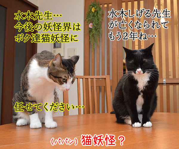 水木しげる先生のご冥福をお祈りして… 猫の写真で4コマ漫画 1コマ目ッ