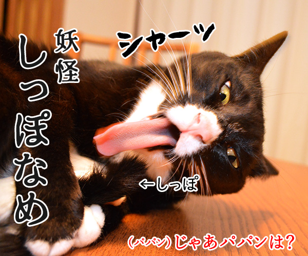 水木しげる先生のご冥福をお祈りして…　猫の写真で４コマ漫画　３コマ目ッ