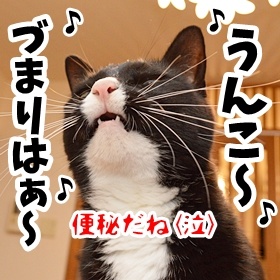 「あん?」って言われたら? 猫の写真で4コマ漫画 5コマ目ッ