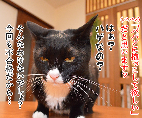 下僕検定を受けてみた　猫の写真で４コマ漫画　２コマ目ッ