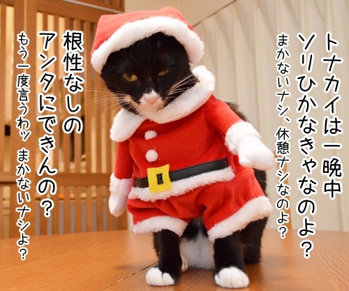 クリスマスにはサンタさんに会いたいの　猫の写真で４コマ漫画　３コマ目ッ