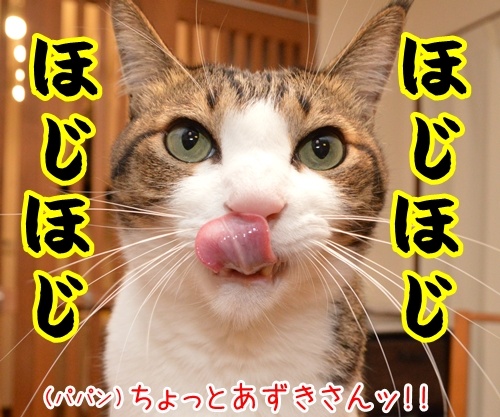 ラルクのハイドも鼻ほじだもの　猫の写真で４コマ漫画　１コマ目ッ