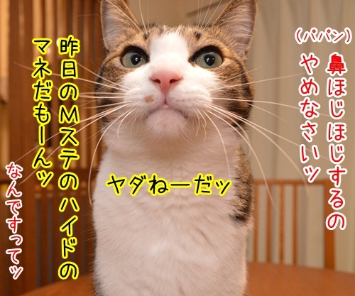 ラルクのハイドも鼻ほじだもの　猫の写真で４コマ漫画　２コマ目ッ