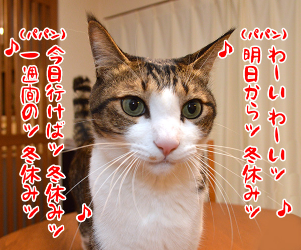 帰省ラッシュ始まるッ　猫の写真で４コマ漫画　３コマ目ッ