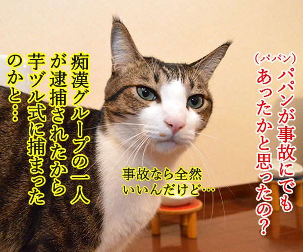 パパンの帰りが遅いから　猫の写真で４コマ漫画　２コマ目ッ