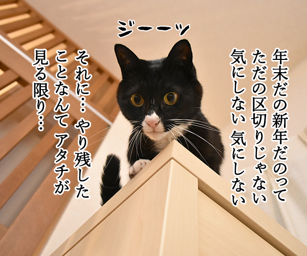 今年やり残したコト　猫の写真で４コマ漫画　３コマ目ッ