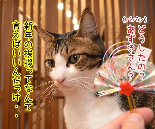 元旦だから新年のご挨拶　猫の写真で４コマ漫画　２コマ目ッ