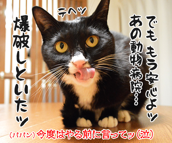 動物病院といえば想い出す　猫の写真で４コマ漫画　４コマ目ッ