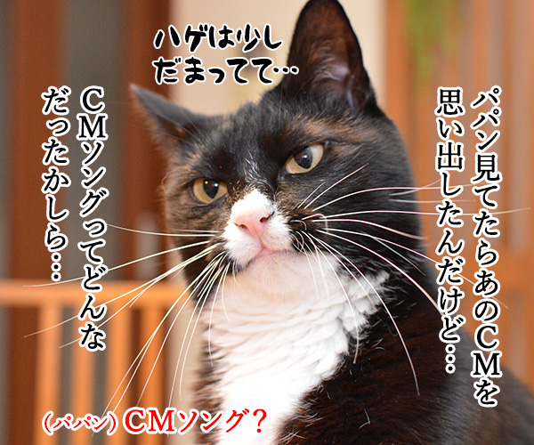 パパンを見るとあのＣＭを思い出す　猫の写真で４コマ漫画　２コマ目ッ