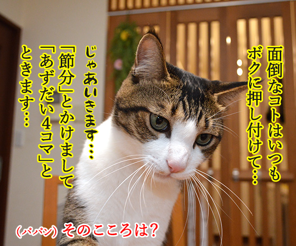 きょうは節分だからッ　猫の写真で４コマ漫画　２コマ目ッ