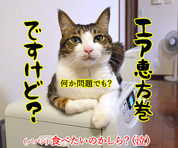 節分の日のエア〇〇　猫の写真で４コマ漫画　４コマ目ッ