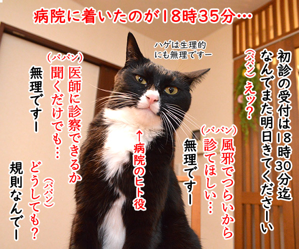 病院にいったけど　猫の写真で４コマ漫画　２コマ目ッ