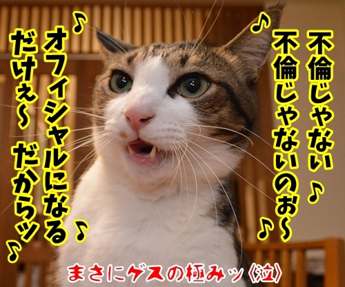 ライブハウス パパンちにようこそッ　猫の写真で４コマ漫画　４コマ目ッ