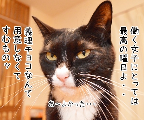 今年のバレンタインデーは日曜日　猫の写真で４コマ漫画　２コマ目ッ