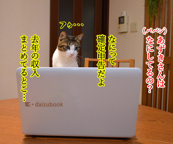 確定申告は３月１５日まで　猫の写真で４コマ漫画　３コマ目ッ