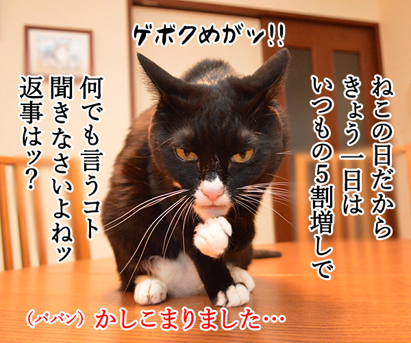 にゃんにゃんにゃんは猫の日なの　猫の写真で４コマ漫画　２コマ目ッ