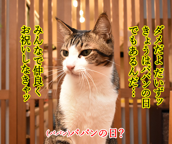 にゃんにゃんにゃんは猫の日なの　猫の写真で４コマ漫画　３コマ目ッ