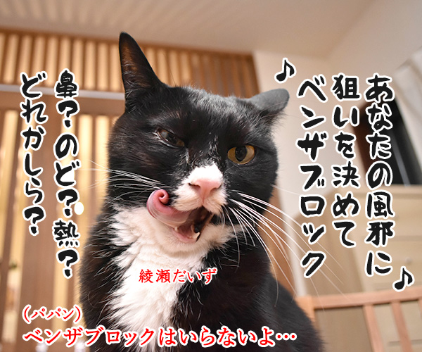 あなたの風邪はどこから？　猫の写真で４コマ漫画　２コマ目ッ