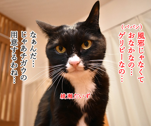 あなたの風邪はどこから？　猫の写真で４コマ漫画　３コマ目ッ