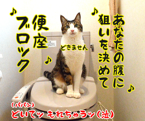 あなたの風邪はどこから？　猫の写真で４コマ漫画　４コマ目ッ