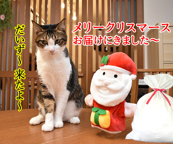 サンタがパパンちにやってきたッ