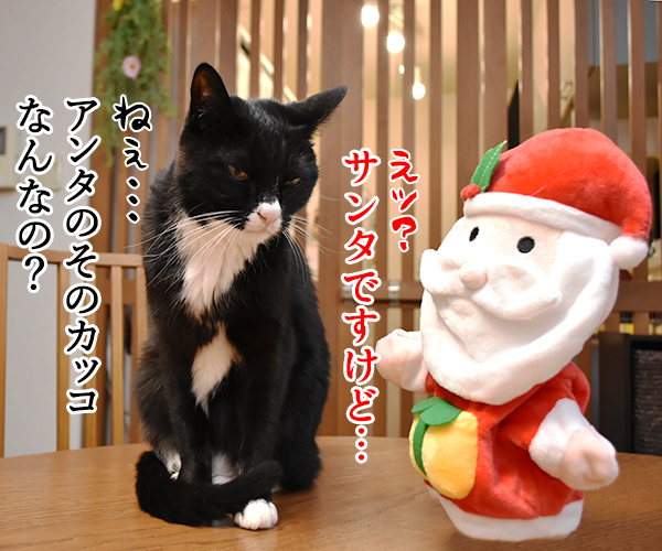 サンタがパパンちにやってきたッ　ねこの写真で４コマ漫画　２コマ目ッ