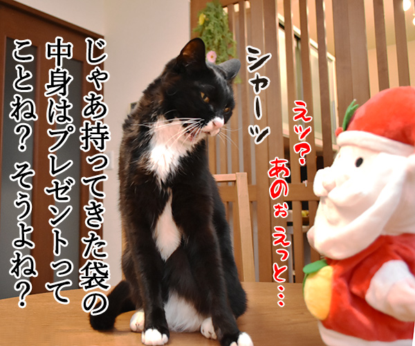 サンタがパパンちにやってきたッ　ねこの写真で４コマ漫画　３コマ目ッ
