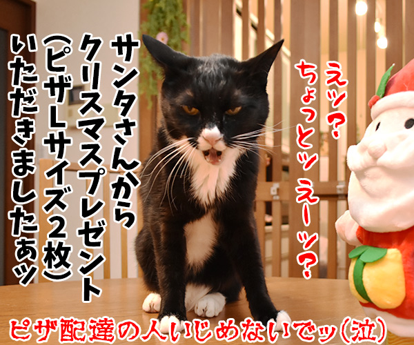 サンタがパパンちにやってきたッ　ねこの写真で４コマ漫画　４コマ目ッ