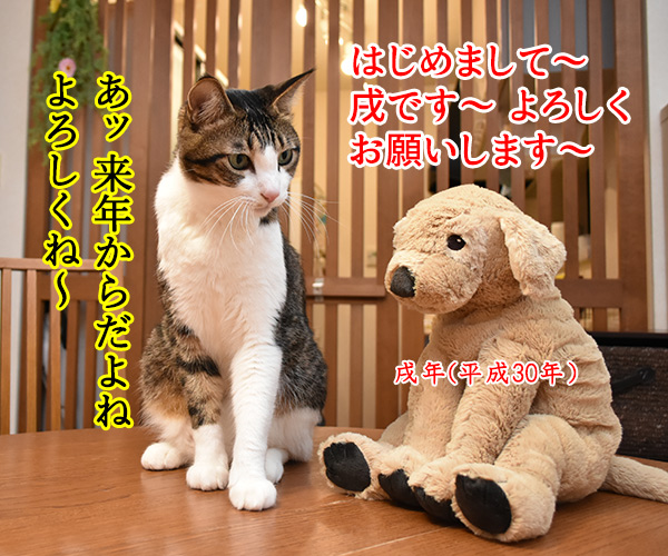 平成30年は戌年なんですってッ