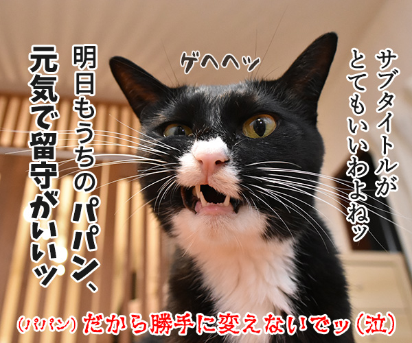 『PETomorrow』で明日もうちの子、元気！　ねこの写真で４コマ漫画　４コマ目ッ