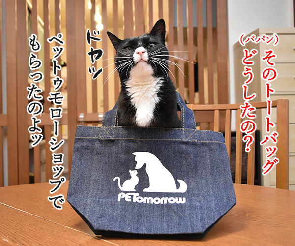 『PETomorrowショップ』でオサレなトートバッグをプレゼント中なのッ