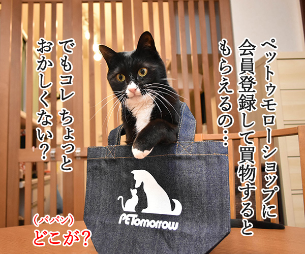 『PETomorrowショップ』でトートバッグをプレゼント中なのッ　ねこの写真で４コマ漫画　２コマ目ッ