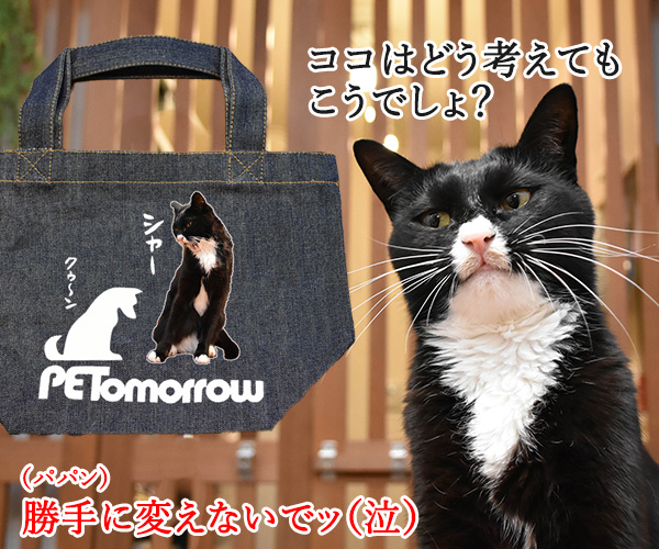 『PETomorrowショップ』でトートバッグをプレゼント中なのッ　ねこの写真で４コマ漫画　３コマ目ッ