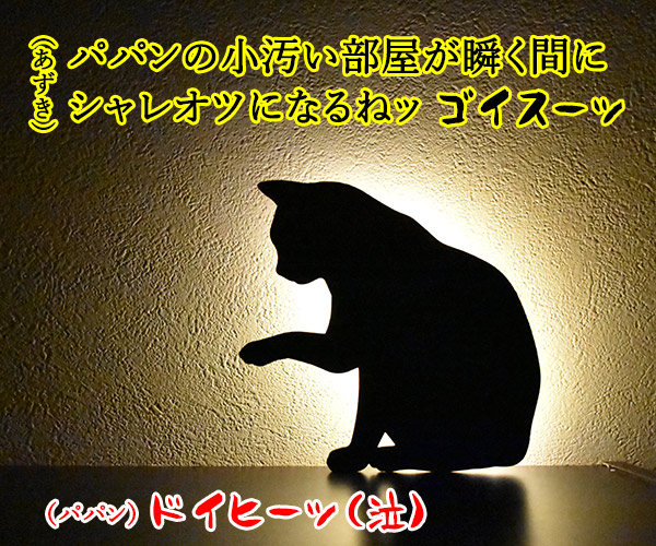 キャットウォールライトでほっこりシャレオツなのッ　ねこの写真で４コマ漫画　２コマ目ッ