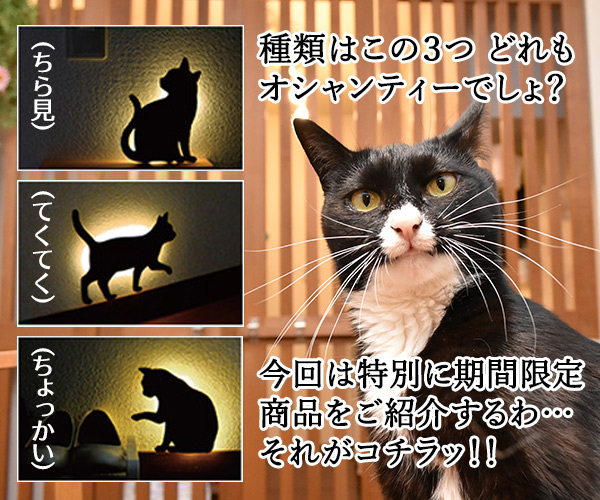 キャットウォールライトでほっこりシャレオツなのッ　ねこの写真で４コマ漫画　３コマ目ッ