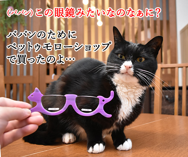 『にゃんグラス』で小さい文字もクッキリなのッ