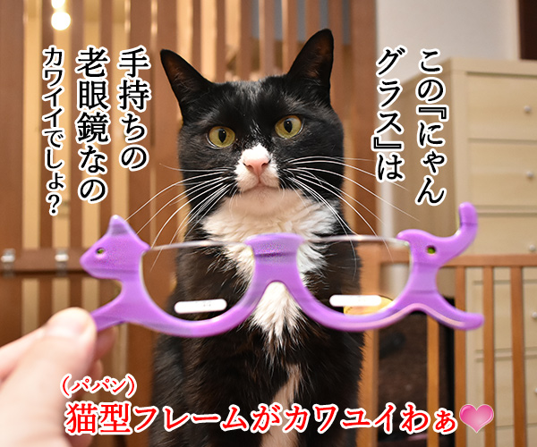 『にゃんグラス』で小さい文字もクッキリなのッ　ねこの写真で４コマ漫画　２コマ目ッ