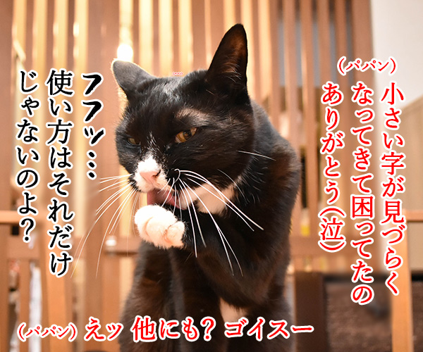 『にゃんグラス』で小さい文字もクッキリなのッ　ねこの写真で４コマ漫画　３コマ目ッ