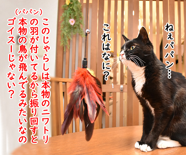 『猫遊び3種セット』の猫じゃらしは…