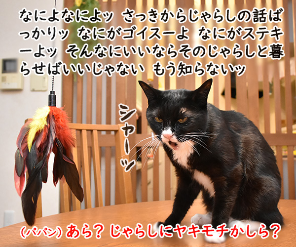 『猫遊び3種セット』の猫じゃらしは…　ねこの写真で４コマ漫画　３コマ目ッ