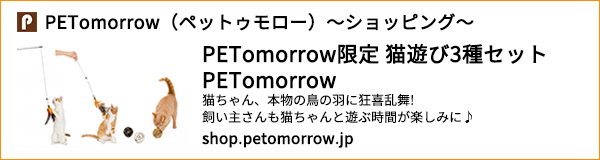 猫遊び3種セット