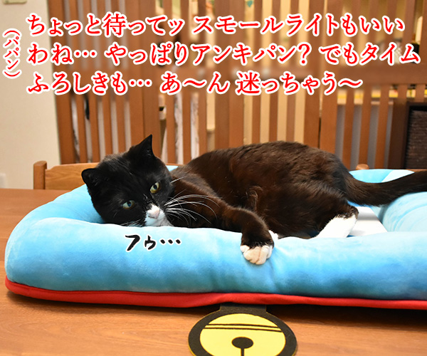 ひみつ道具はどれが欲しいひみつ道具はどれが欲しいかしら?かしら? ねこの写真で4コマ漫画 2コマ目ッ