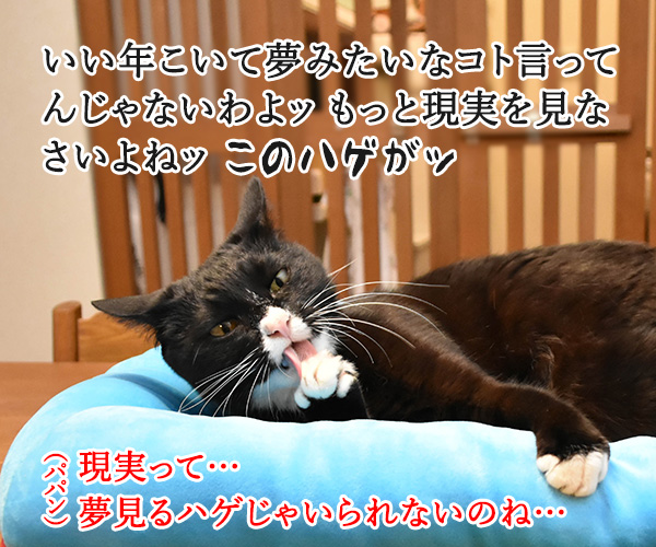 ひみつ道具はどれが欲しいかしら? ねこの写真で4コマ漫画 3コマ目ッ