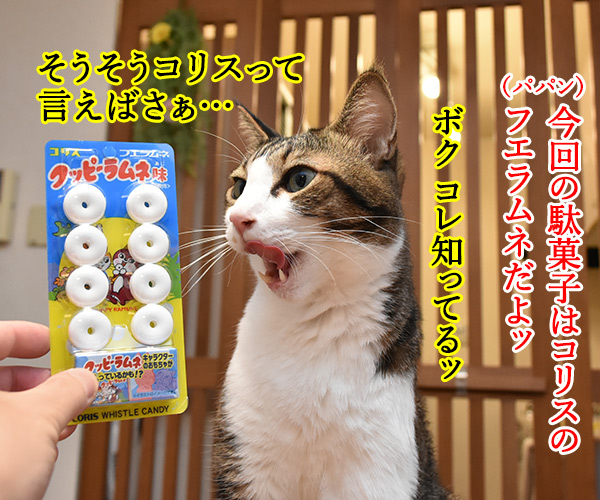 駄菓子『コリス フエラムネはピィピィピィ～なのッ』【ねこの写真で4コマ漫画】