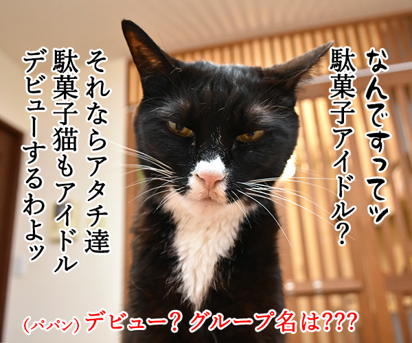 コリス フエラムネはピィピィピィ～なのッ　ねこの写真で４コマ漫画　３コマ目ッ