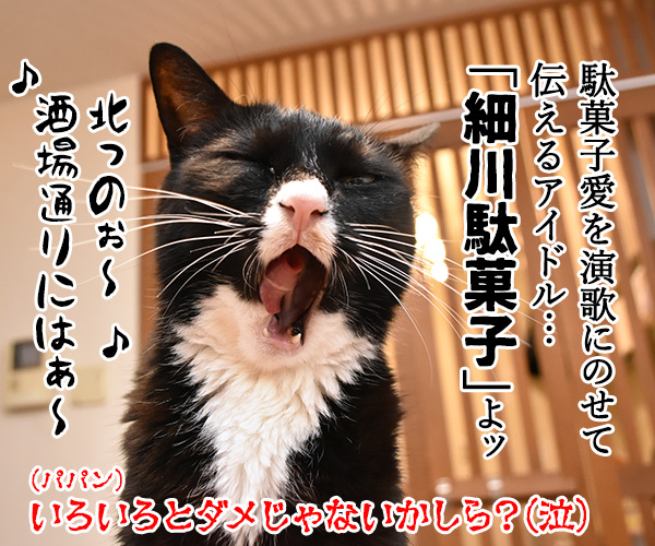 コリス フエラムネはピィピィピィ～なのッ　ねこの写真で４コマ漫画　４コマ目ッ